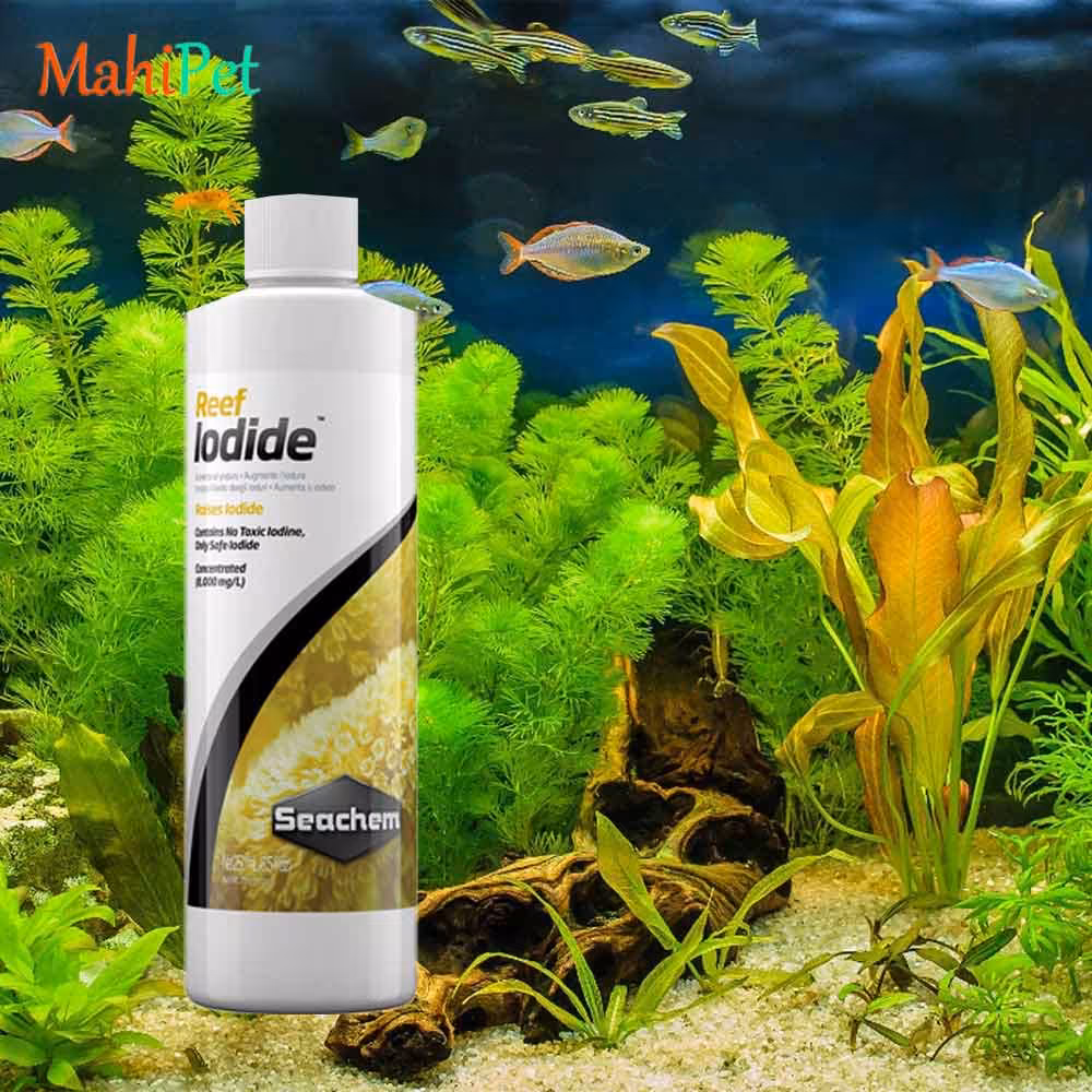 محلول مکمل ید آب شور سیچم SEACHEM Reef Iodide سایز 250 میلی لیتر