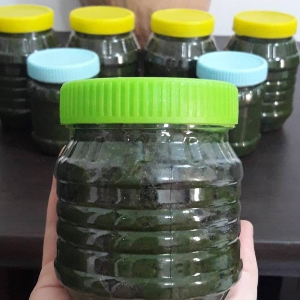 نمک سبز دلار شمال