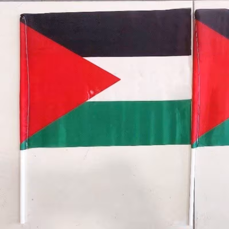 پرچم دستی ساتن فلسطین(هر بسته 100 عدد)