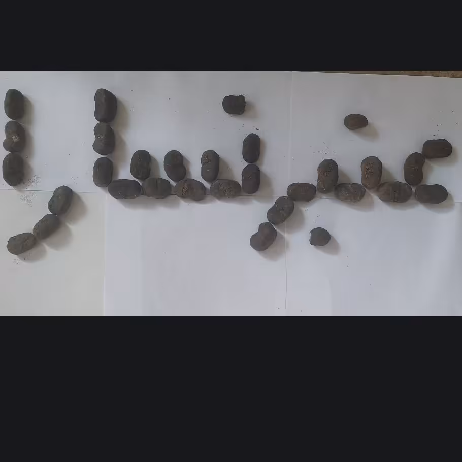 عنبرنسارا 150 گرمی