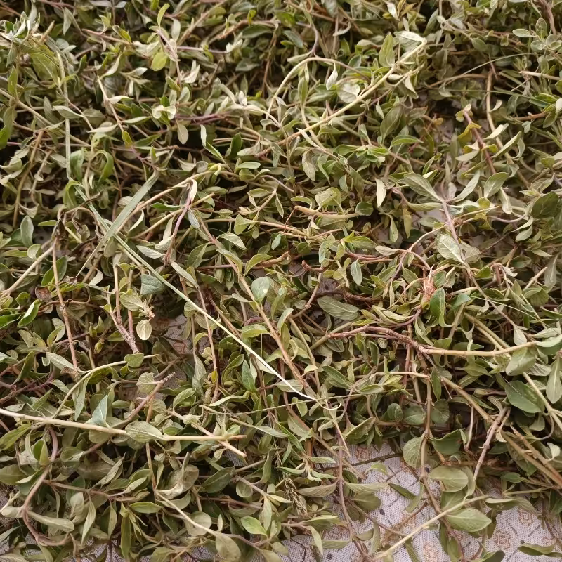 آنخ کوهی 500 گرمی کوه های خراسان شمالی شیروان تازه (خشک نشده) شسته شده. فوق عطری. بسته بندی زیپ دار