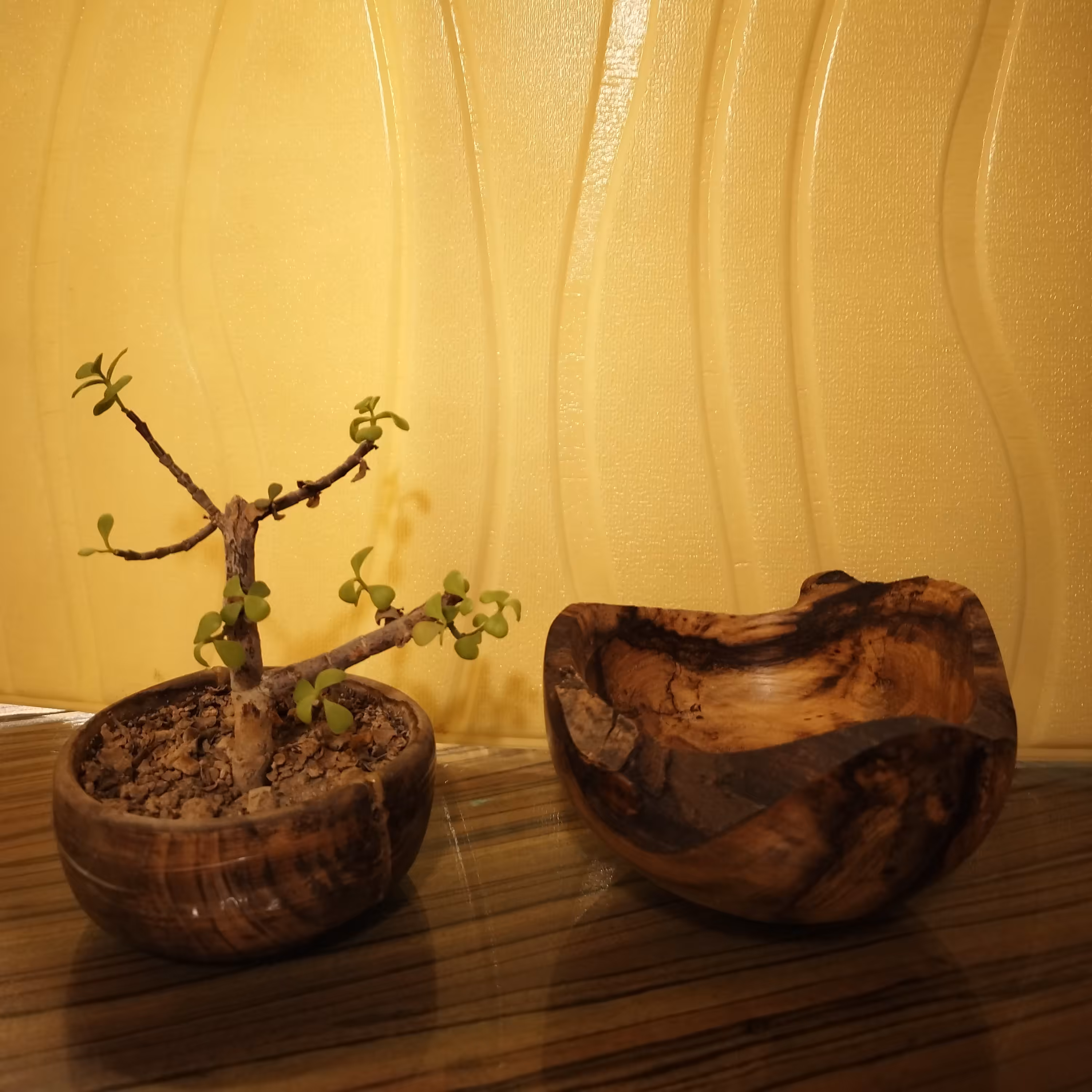 کاسه چوبی روستیک