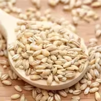 جو ممتاز (800 گرم) کارون