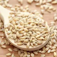 جو ممتاز (800 گرم) کارون