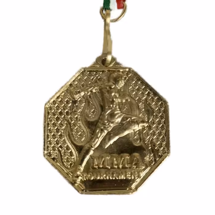 مدال قهرمانی طرح MMA