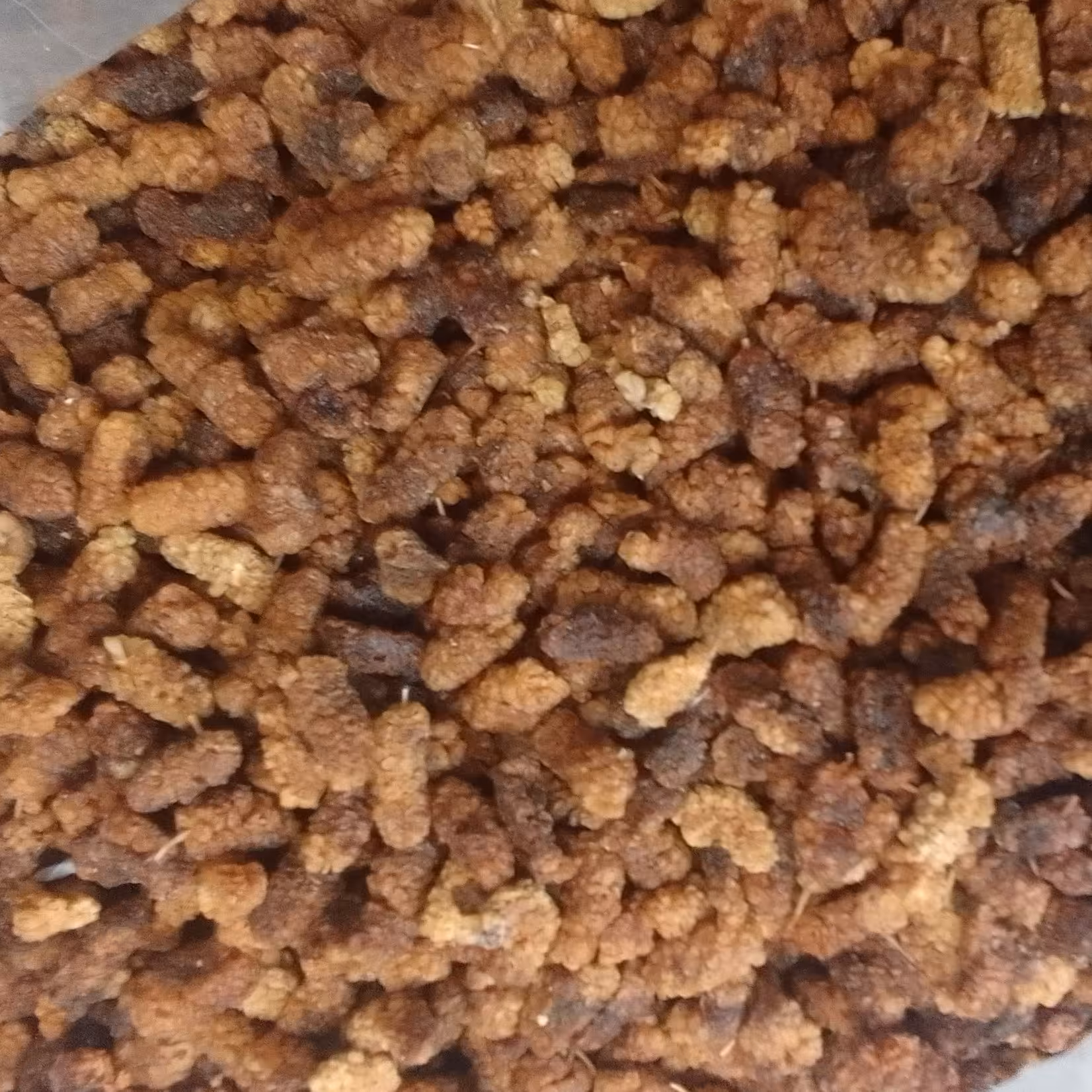 توت خشک درجه 2  ( 1000 گرم )