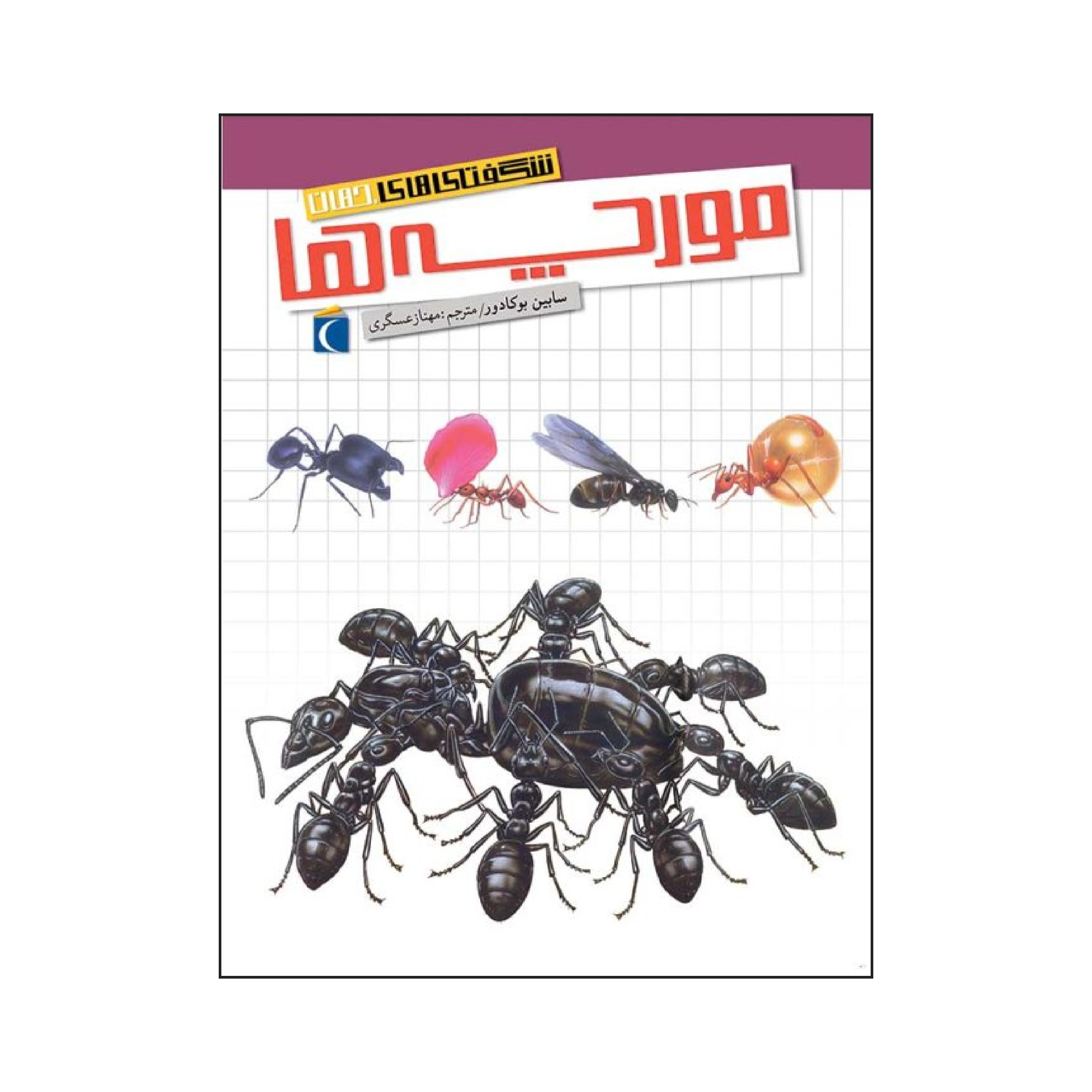 شگفتی های جهان - مورچه ها