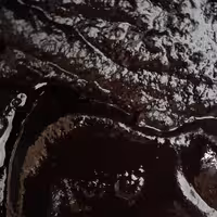 رب میوه ملس (2400گرمی)