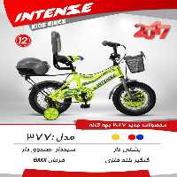 دوچرخه بچگانه اینتنس 12 377 2017