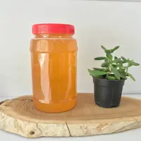 عسل طبیعی سرایان 1 کیلویی (عطارباشی بیرجند)