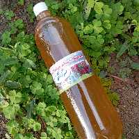 سرکه انگور سوادکوه (یک لیتری)