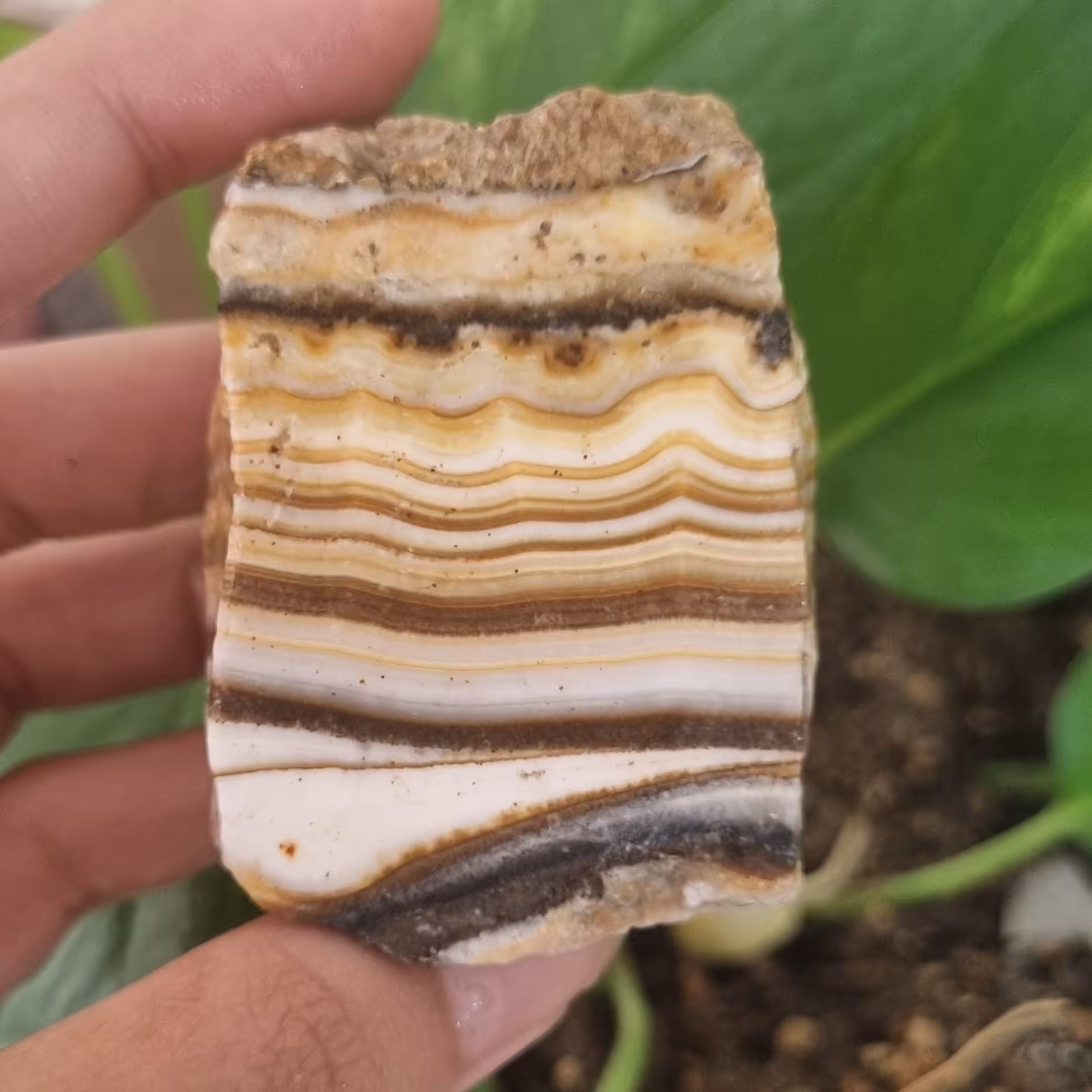 سنگ آراگونیت چشم ببری کد 5