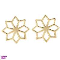 گوشواره طلا 18 عیار رزا مدل EG133