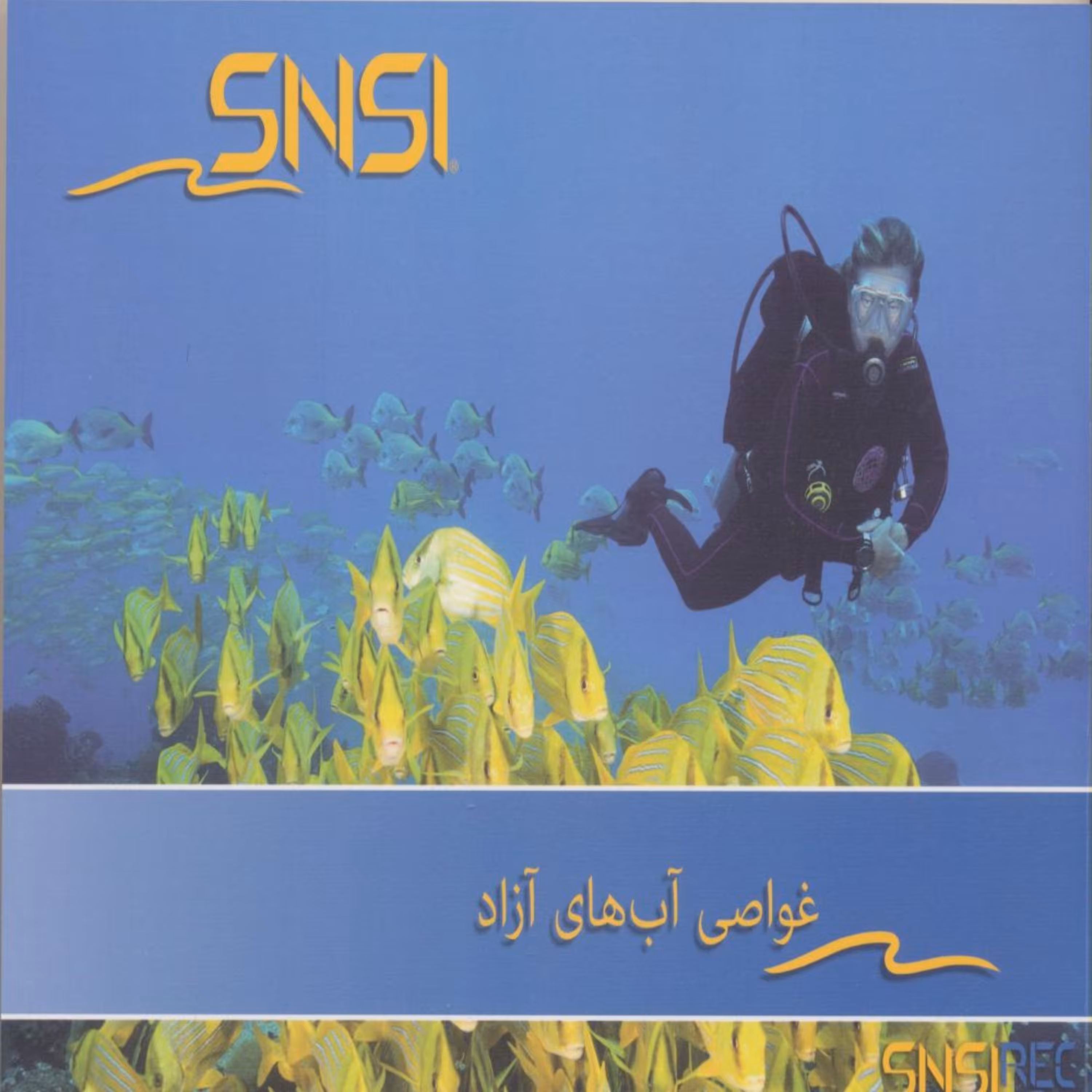 کتاب غواصی آب های آزاد اثر رضا بهره مند انتشارات پازینه