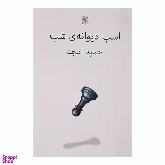 کتاب اسب دیوانه ی شب اثر حمید امجد انتشارات نیلا
