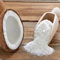 پودر نارگیل چرب 100گرمی