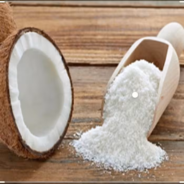 پودر نارگیل چرب 100گرمی