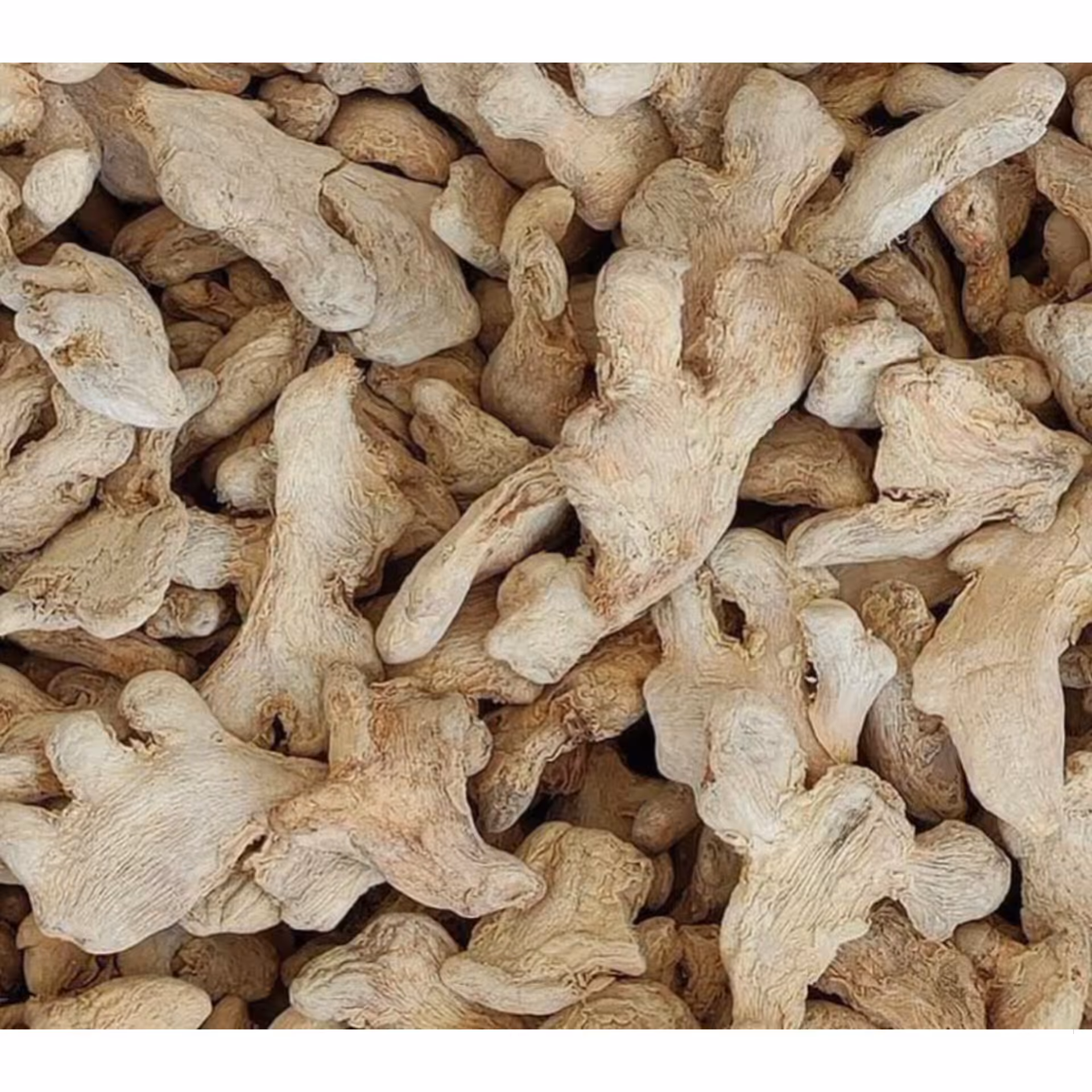 قلم زنجبیل هندی 100 گرمی 