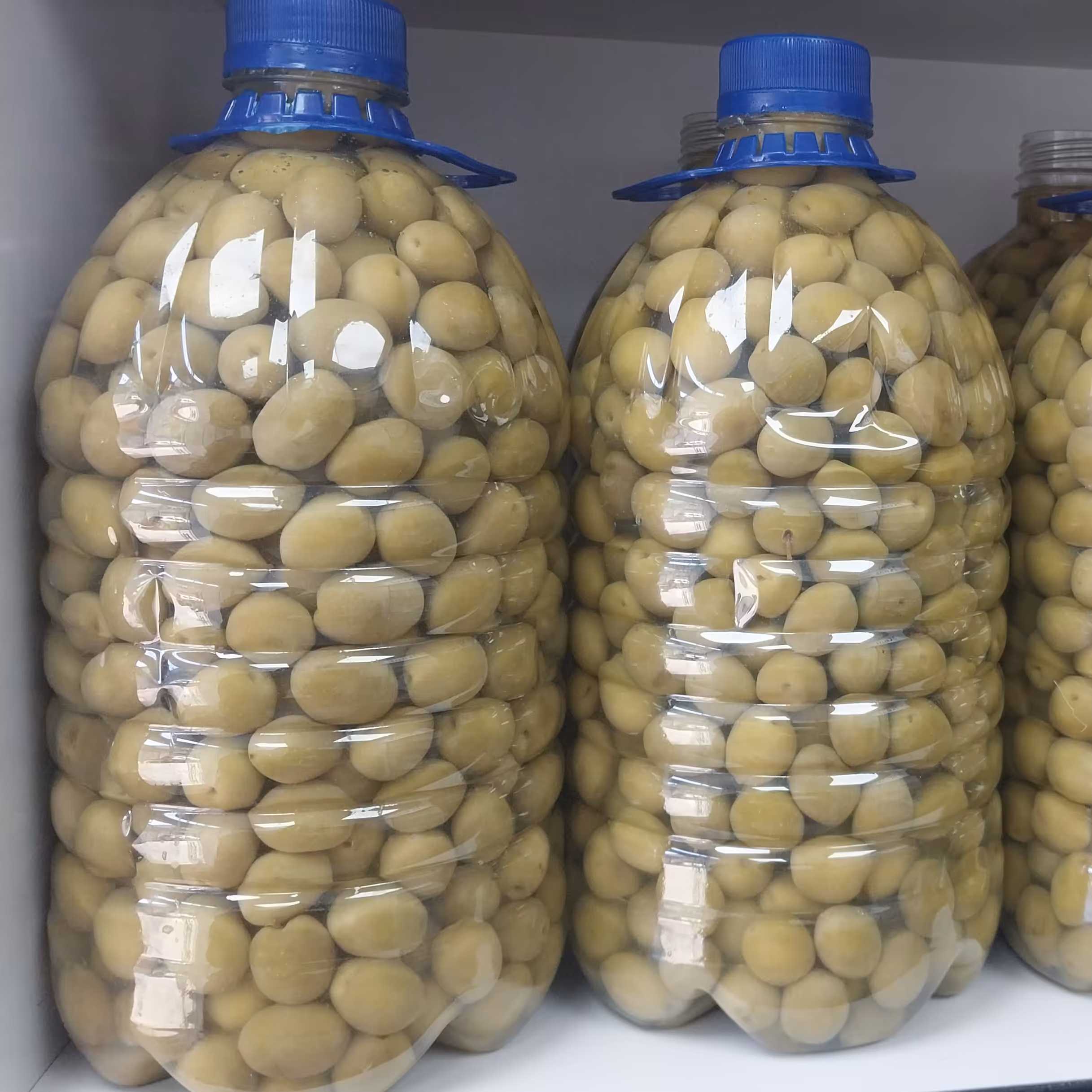 زیتون کنسروی 2500گرمی درشت