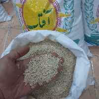 برنج عنبربو (چمپا آفتاب) خوش عطر و طعم (10کیلویی)