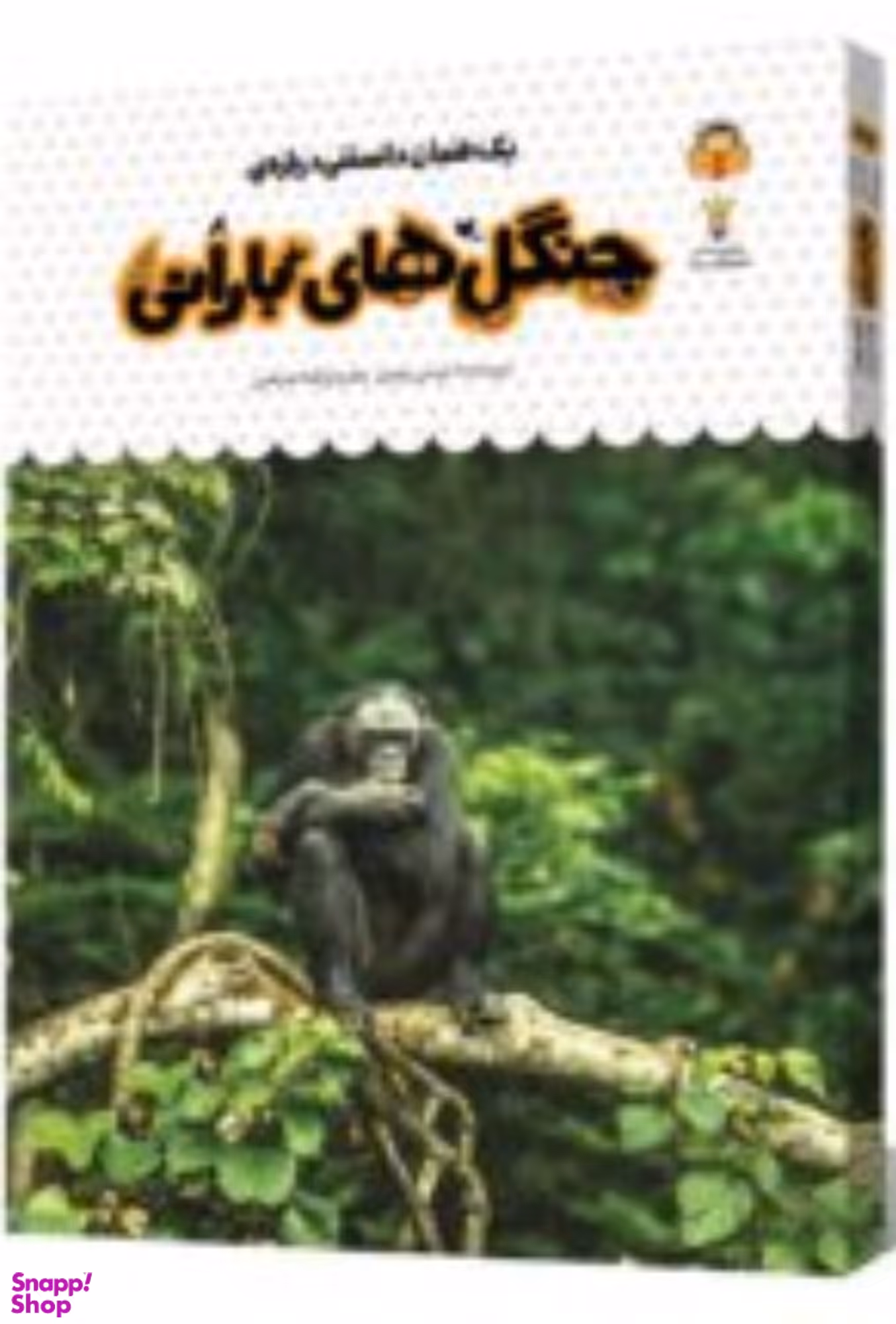کتاب یک فنجان دانستنی درباره ی جنگل های بارانی اثر لوسی بومن انتشارات نشر نوشته