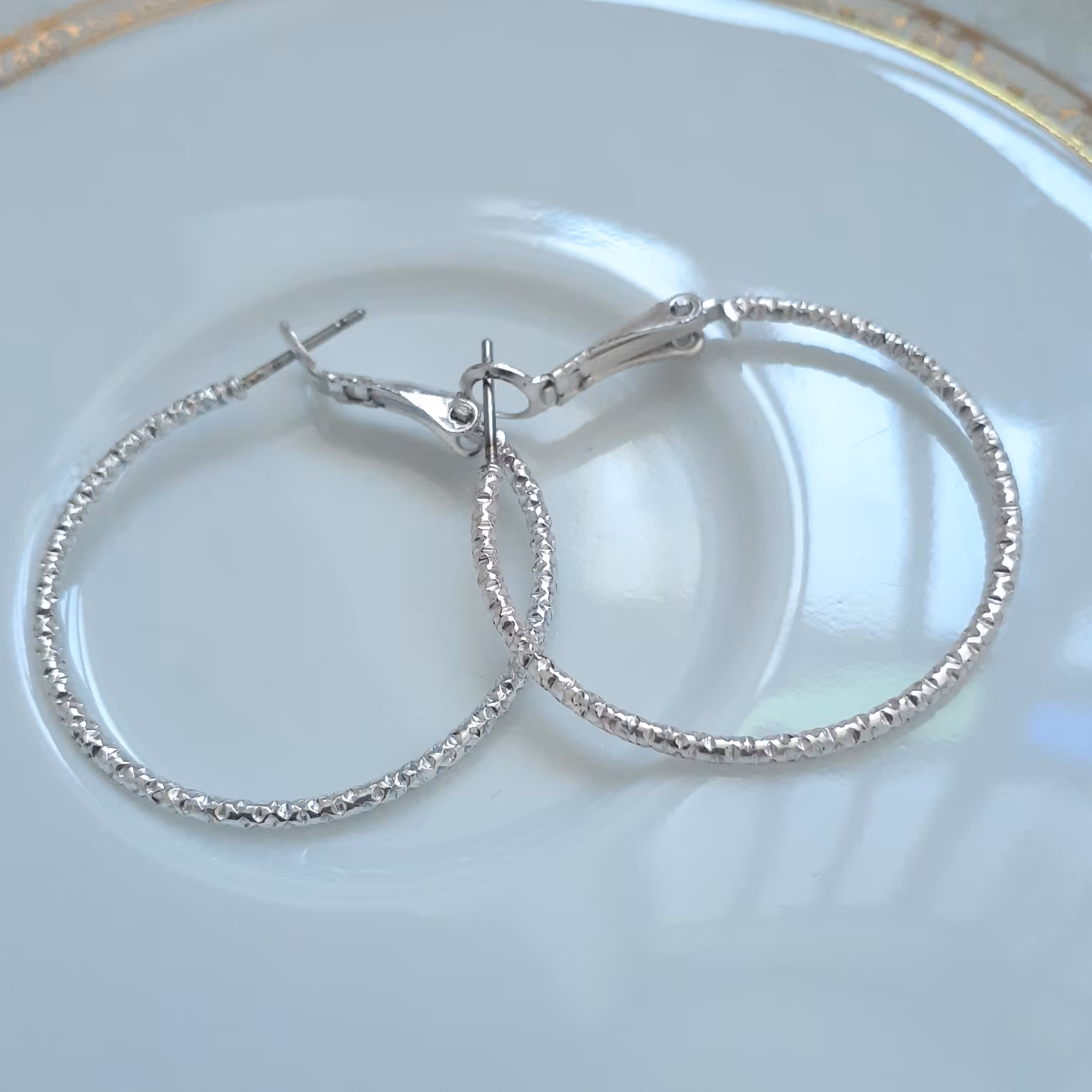 گوشواره حلقه ای استیل سبک برند اروپایی