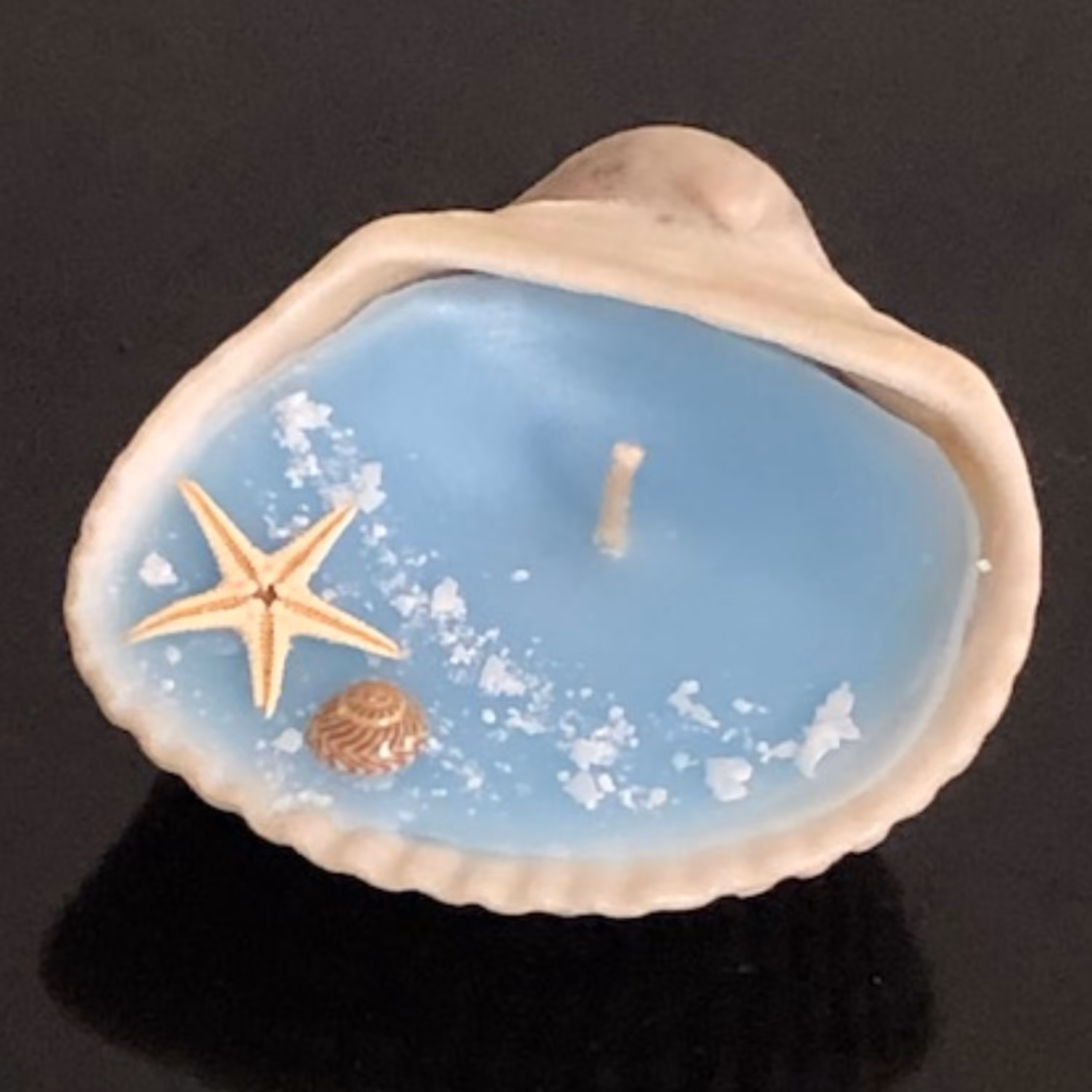 شمع صدف دریایی اندازه 8.5 در7 لا ارتفاع 4