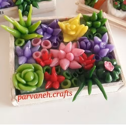 کاکتوس جعبه ای بزرگ