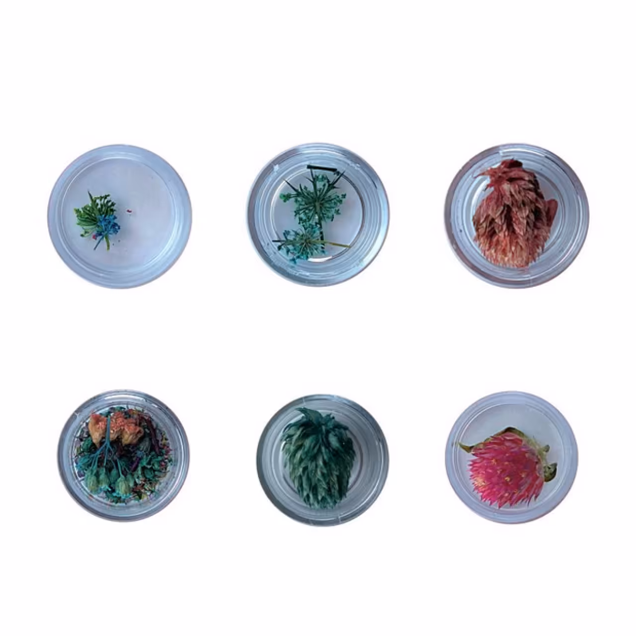 دیزاین ناخن گل خشک مدل 025 مجموعه 6 عددی