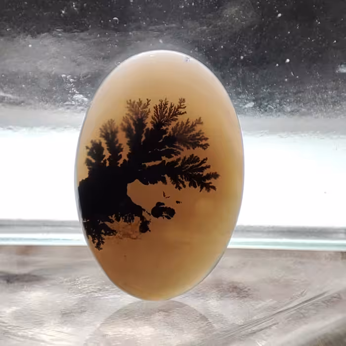 شجر قائن کلکسیونی طبیعی و معدنی کد 928