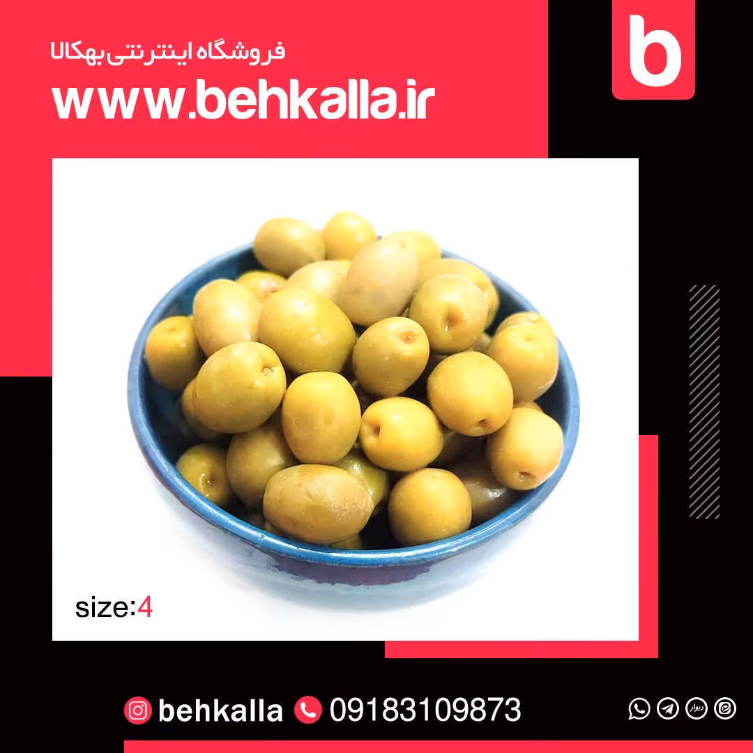 زیتون سایز 4