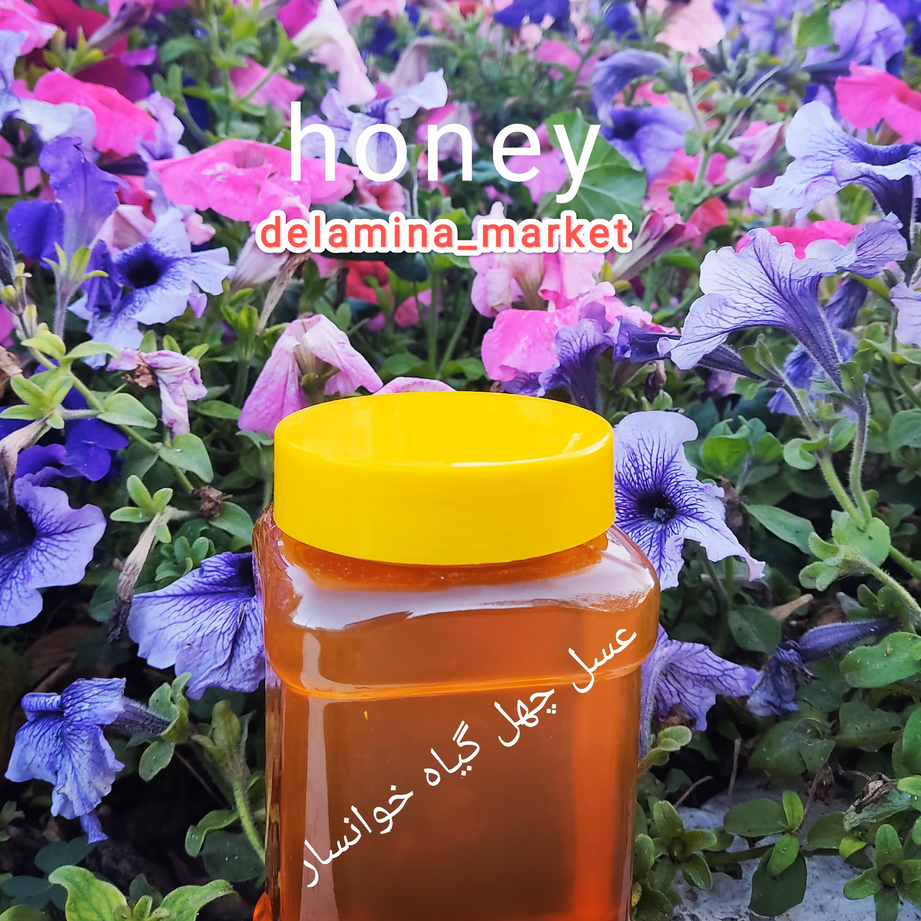 عسل چهل گیاه خوانسار  1 کیلو گرمی