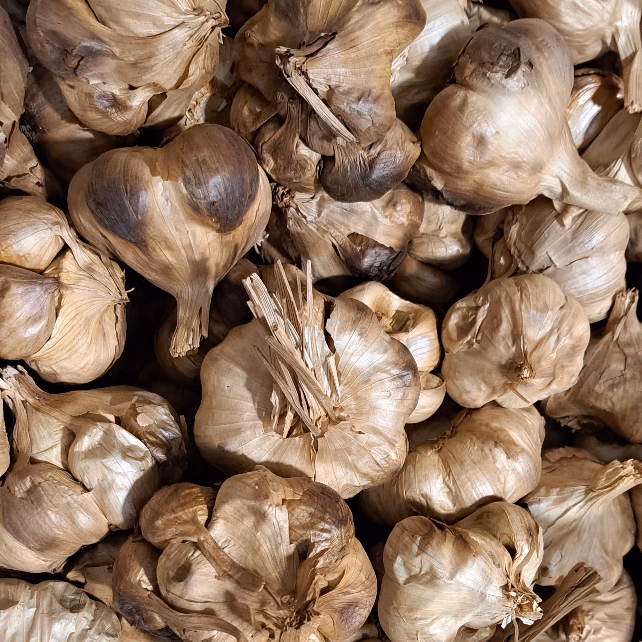 سیر سیاه 5 کیلویی ،سیر درجه یک همدان 