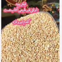 گندم تازه و تمیز ( 500 گرمی )