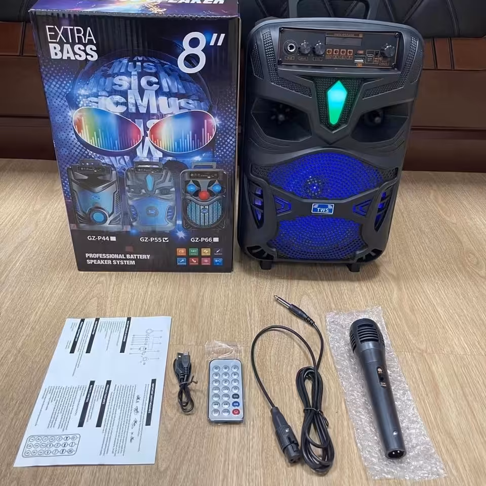 اسپیکر قابل حمل مدل p55