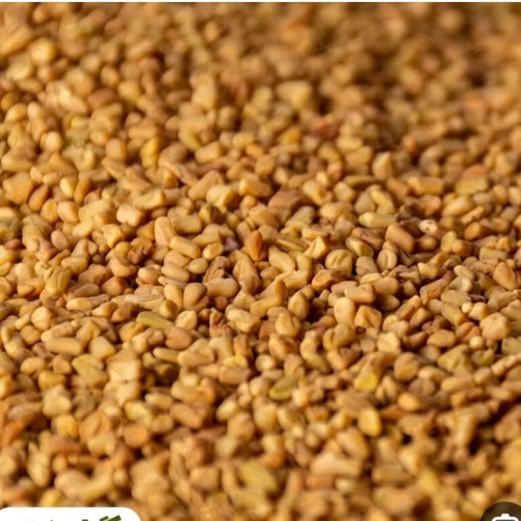 تخم شنبلیله 100 گرم