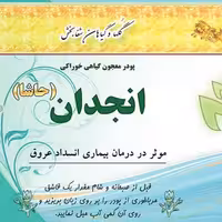 پودر معجون گیاهی خوراکی انجدان شفا بخش 