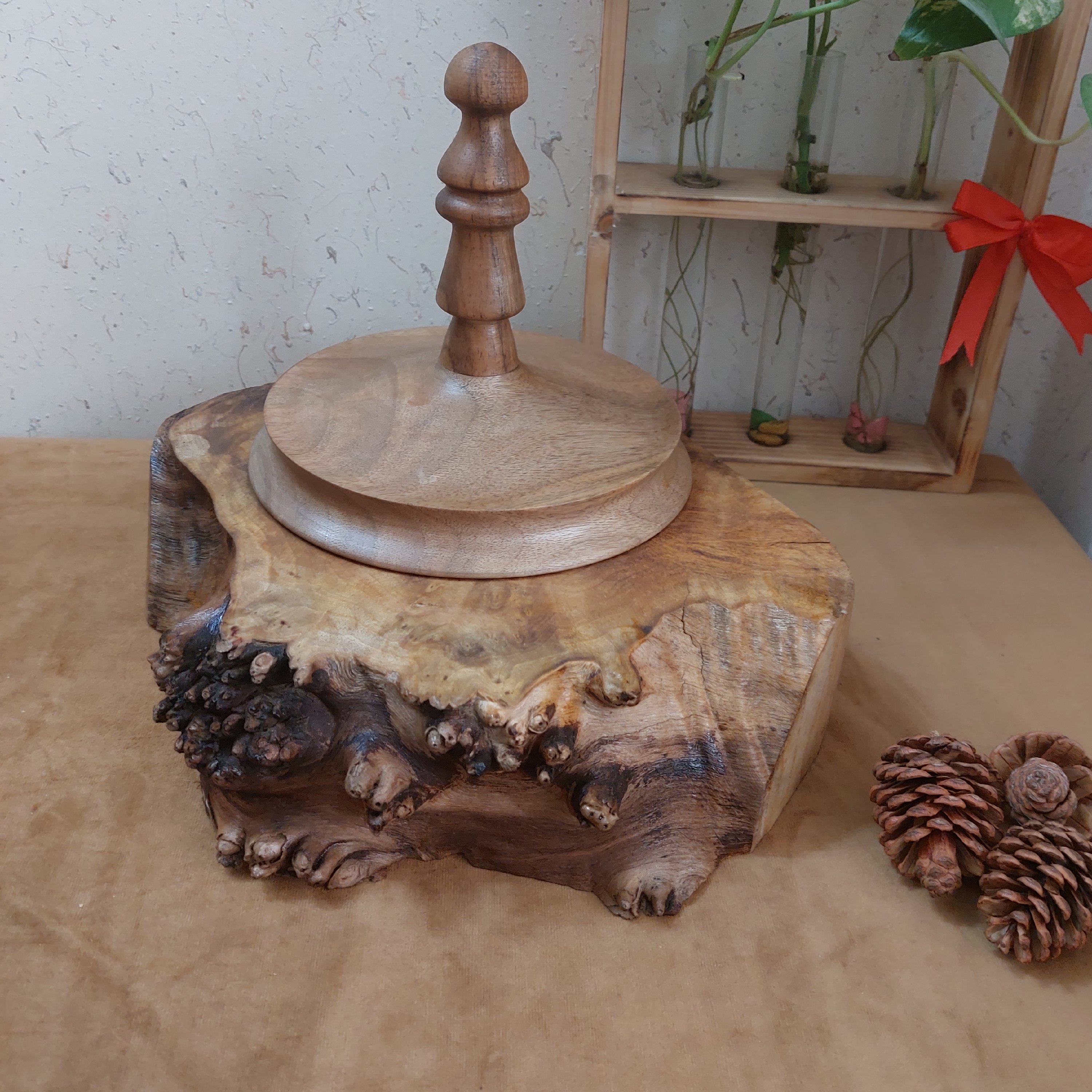 ظرف پذیرایی روستیک کد 56