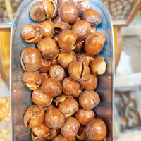 فندوق شور امساله