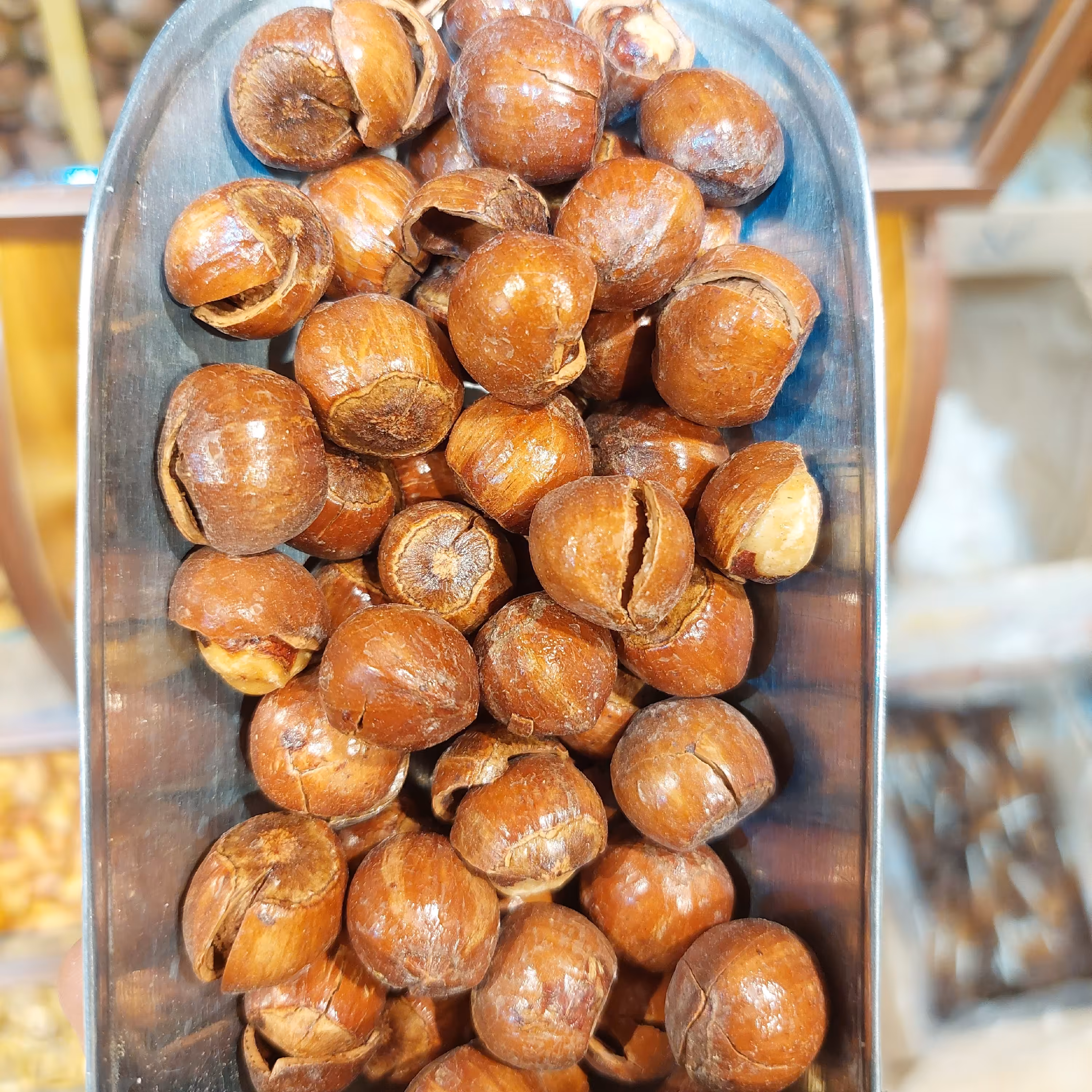 فندوق شور امساله