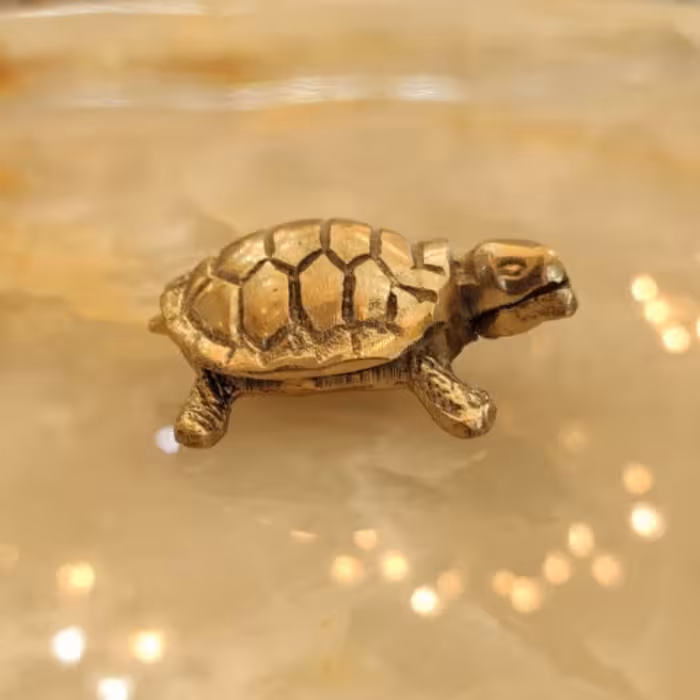 لاک پشت برنز