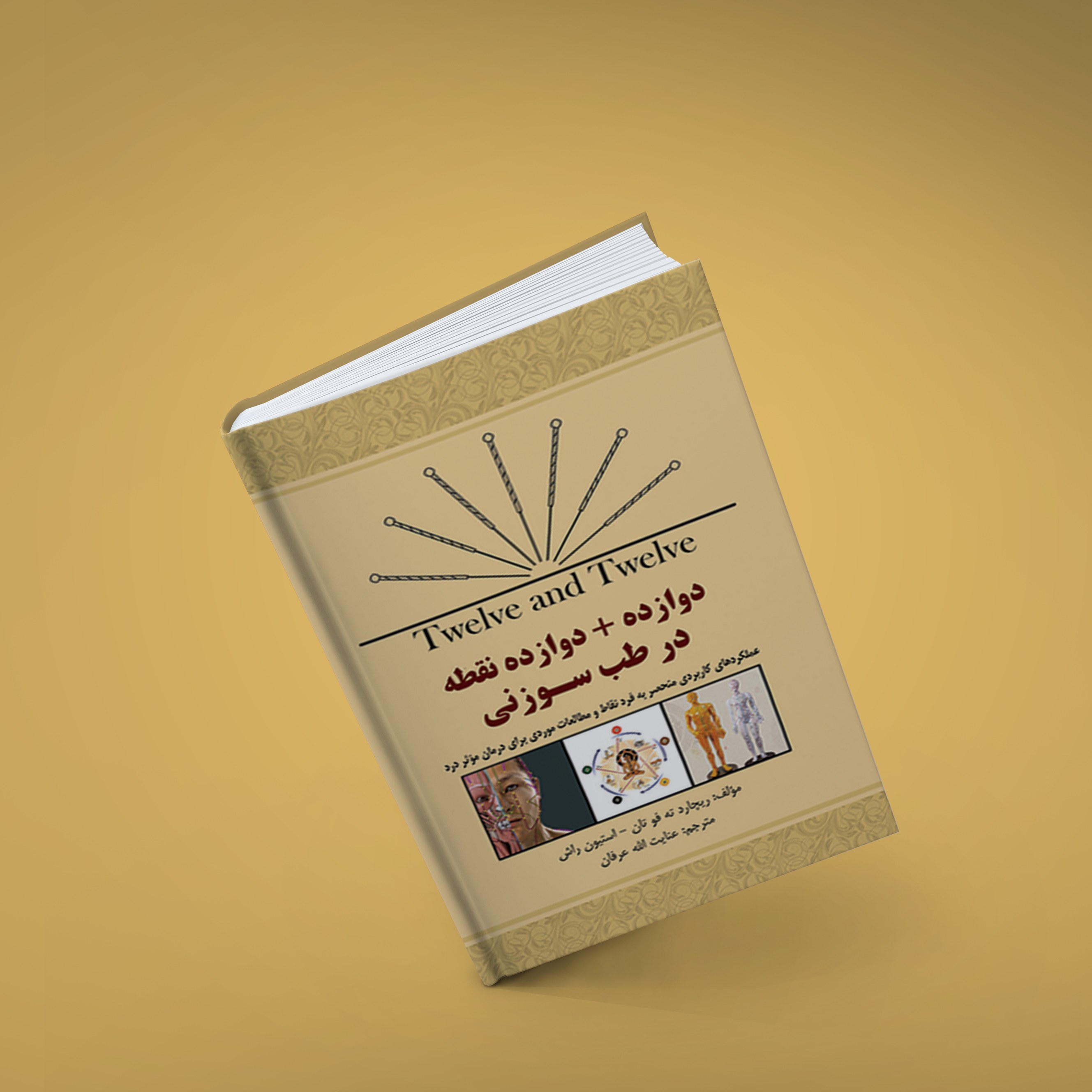 کتاب دوازده بعلاوه دوازده نقطه در طب سوزنی مولف ریچارد ته فو تان استیون راش