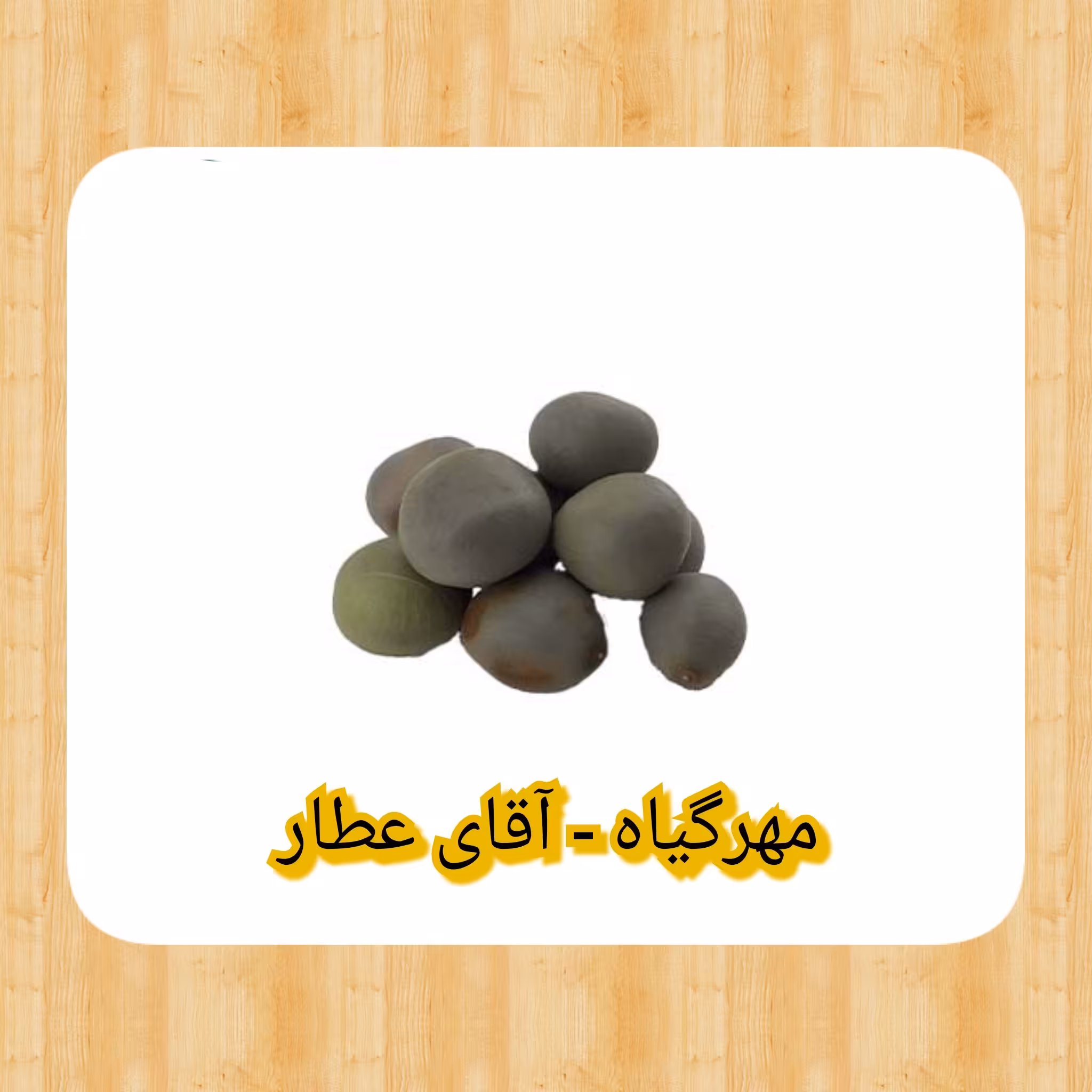 مهرگیاه سورج مکهی مهره محبت (4عددی)آقای عطار