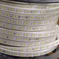 ریسه شلنگی آفتابی 100 متری 