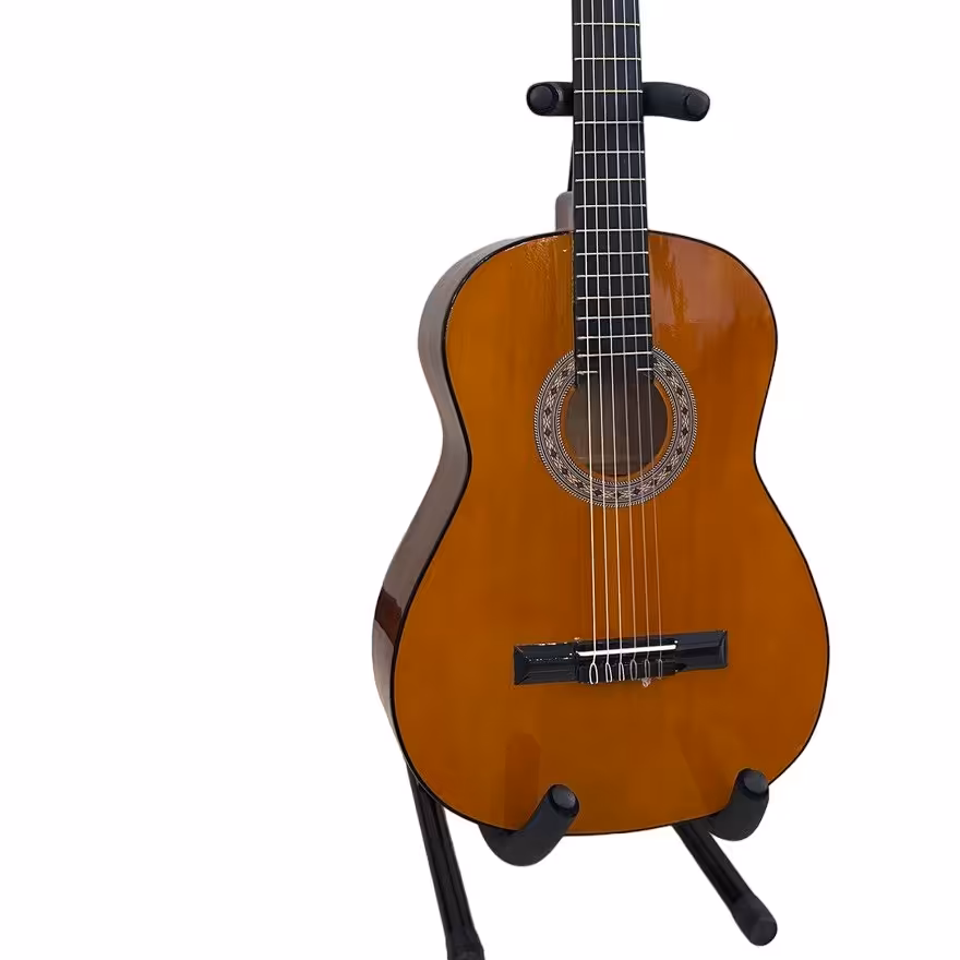 گیتار ویژه c40 همراه کاور