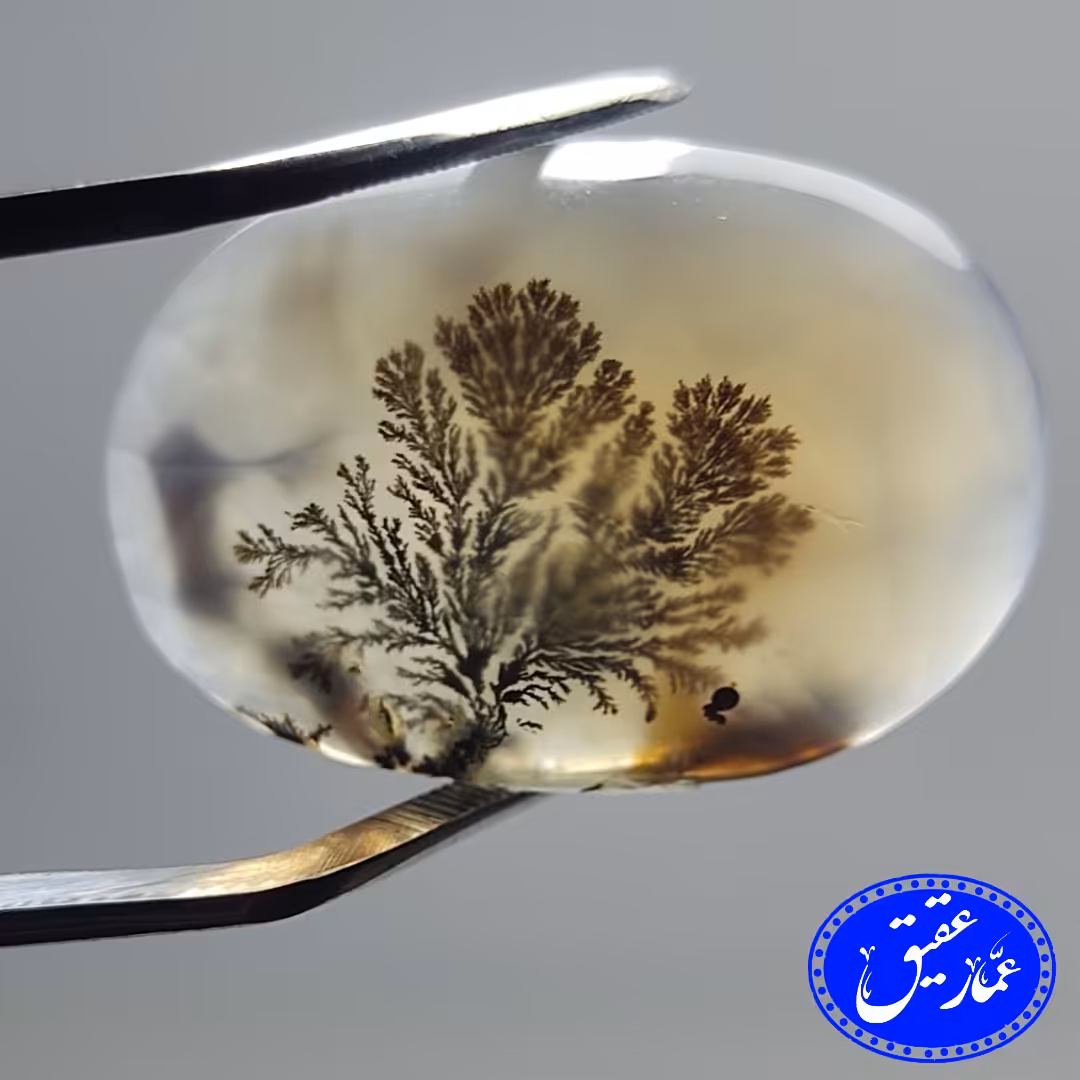 نگین عقیق شجر تک درخت و ریز نقش 