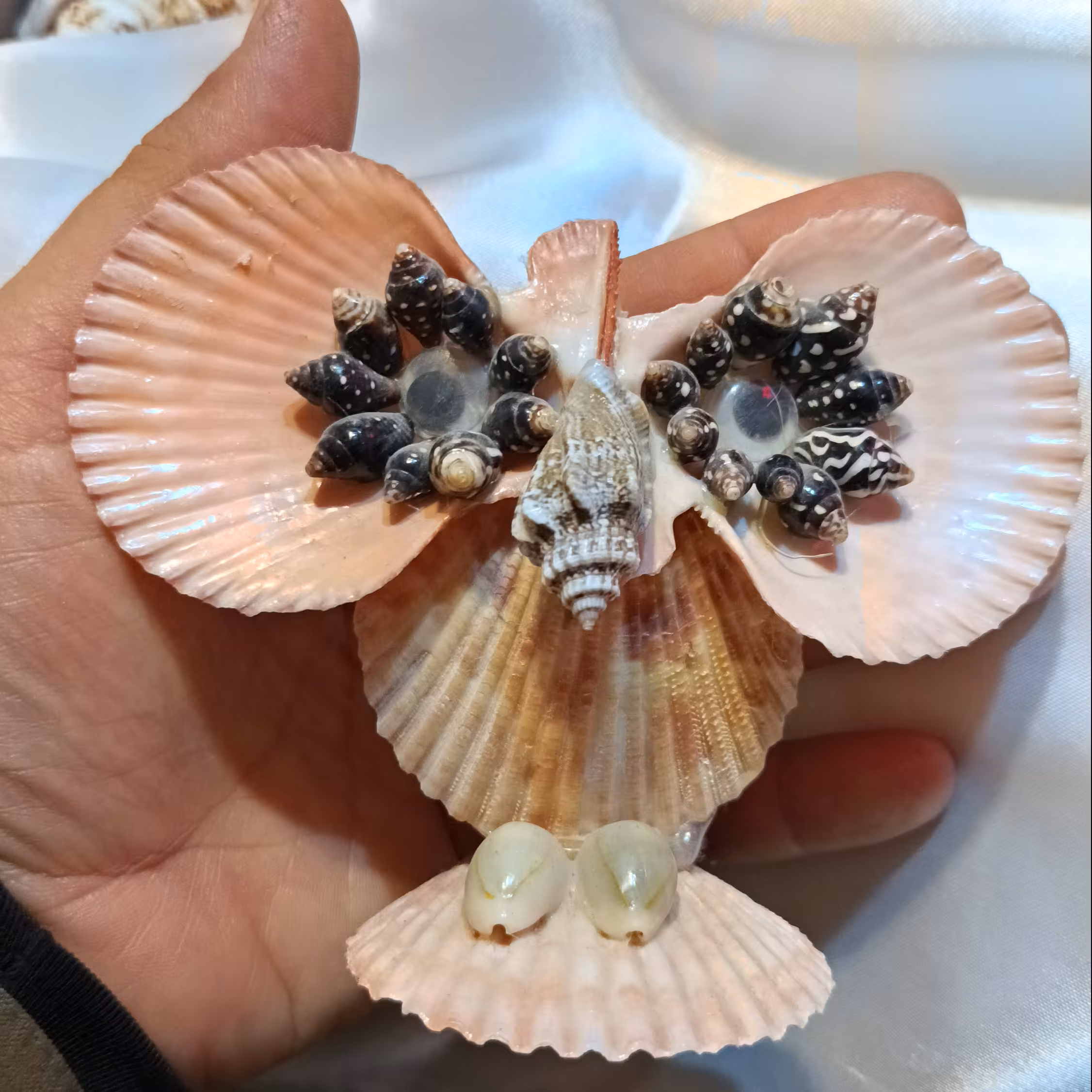 جغد زیبای صدفی هدیه ای مناسب برای عزیزان شما و کاری زیبا برای دکوراسیون