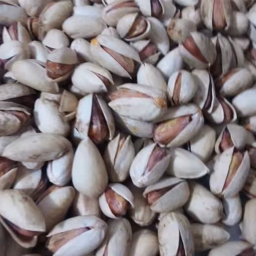 پسته بادامی ممتاز 1کیلو برداشت  1402 