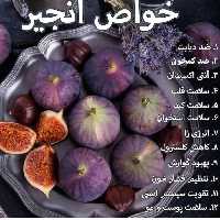 انجیر زردوسیاه(ارسال کمتر از 5 عدد امکان ندارد )