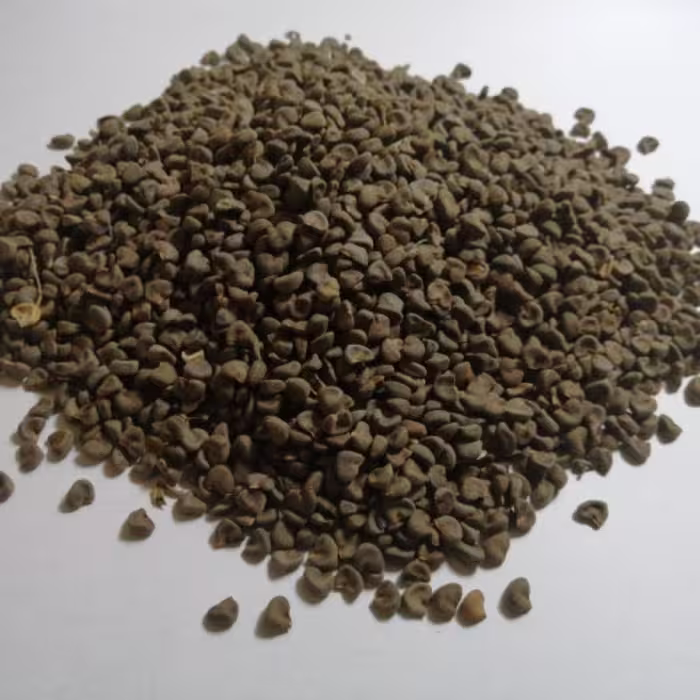 بذر چای ترش 250 گرمی 